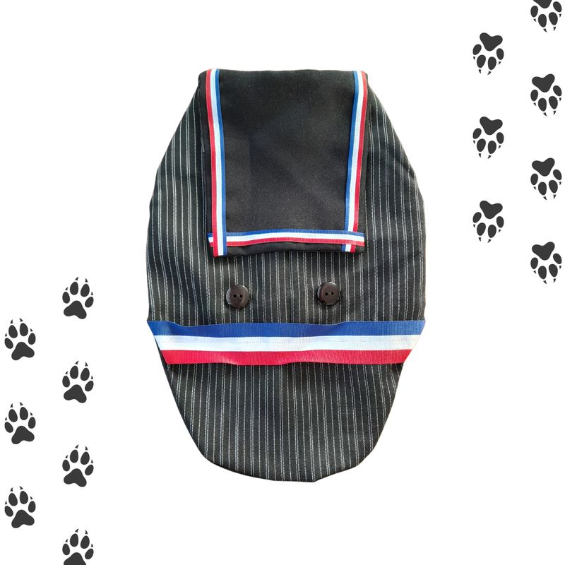 GENERICO - Traje De Huaso Para Mascotas  Traje Típico Chile XS
