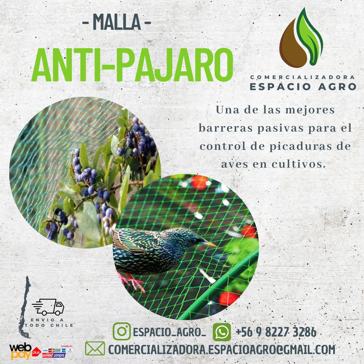 1880 - MALLA ANTIPAJARO 8 x 3 mts PROTECTOR DE CULTIVOS