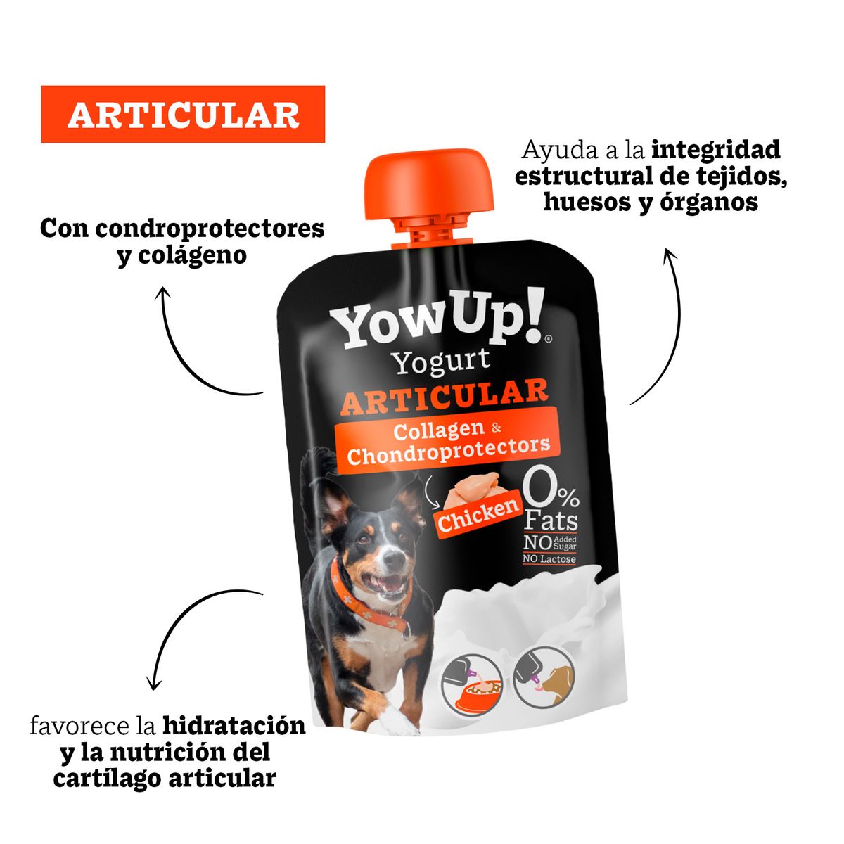 YOW UP - Pack X3 Yogurt para perro Yow Up Articular 115 gr