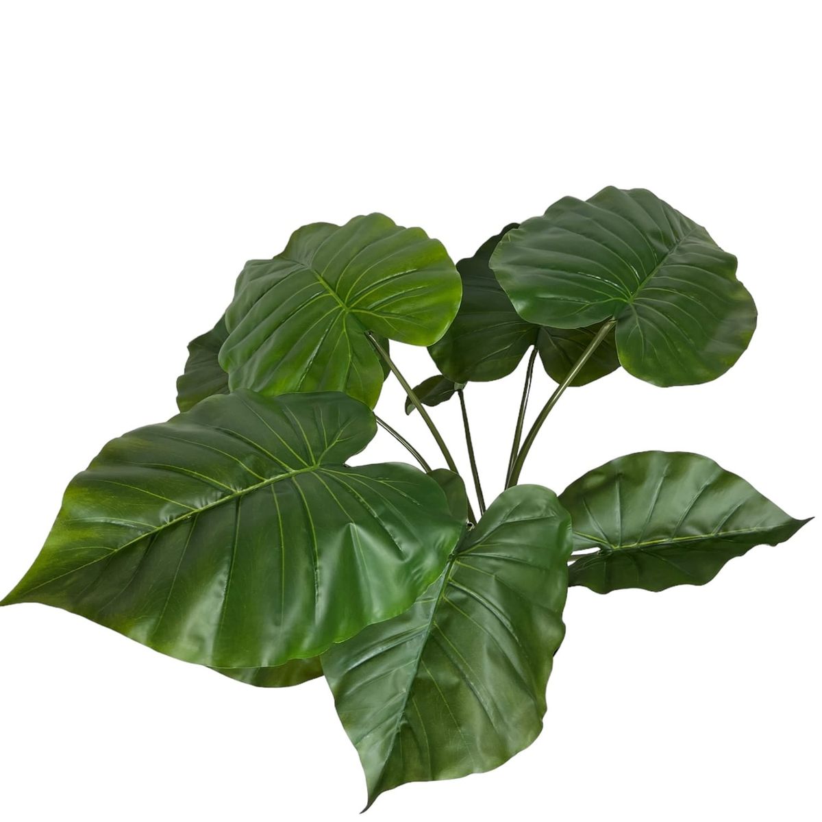 COREL - Planta Manto De Eva 71cm Artificial