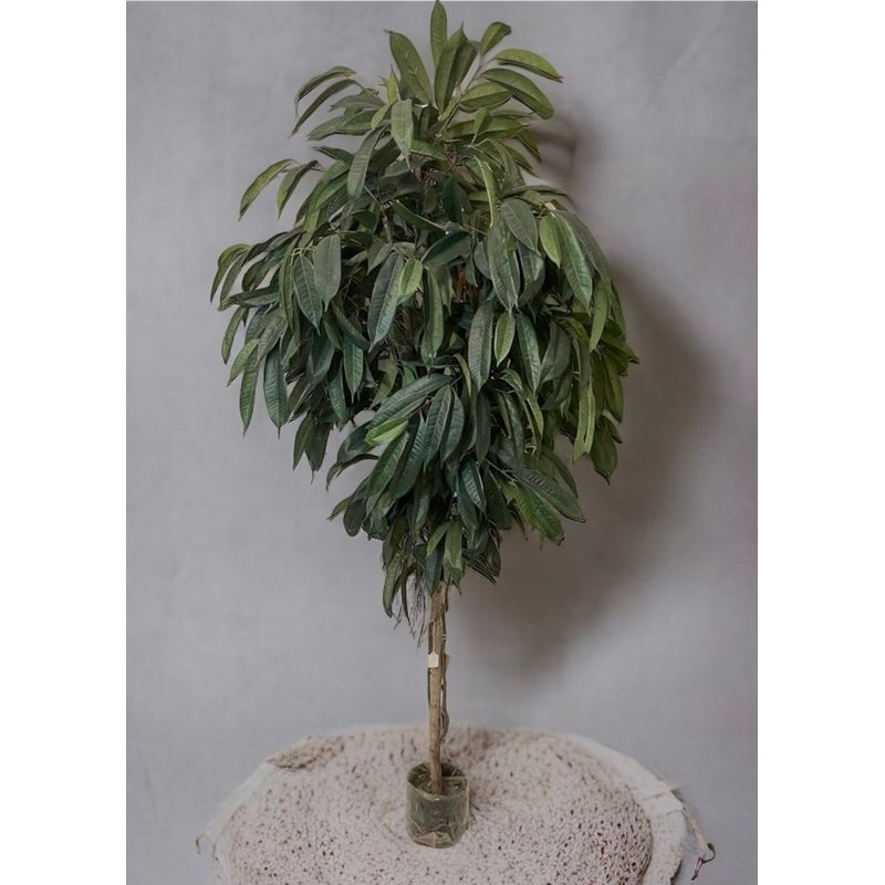 COREL - Árbol Ficus Alli (No Incluye )
