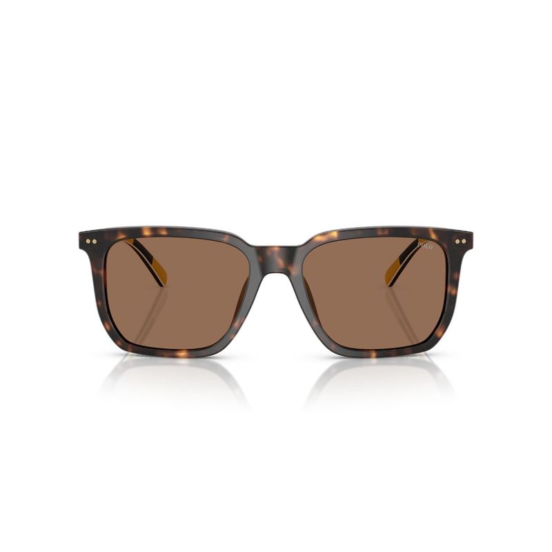 POLO RALPH LAUREN - Lentes de Sol Havana Polo Ralph Lauren