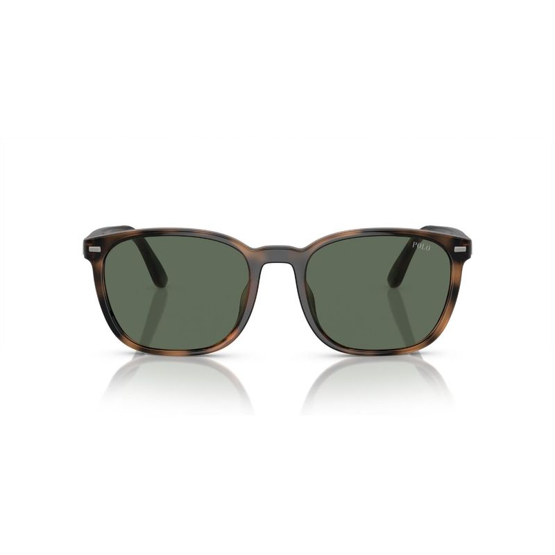 POLO RALPH LAUREN - Lentes de Sol Havana Polo Ralph Lauren