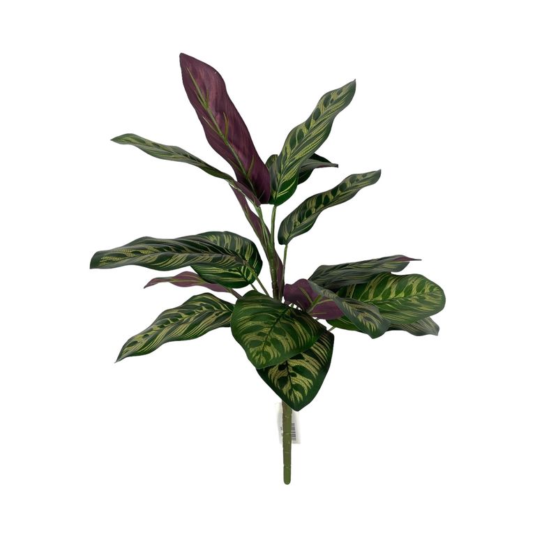 COREL - Planta Decorativa Ramo Calatea Uv 56cm