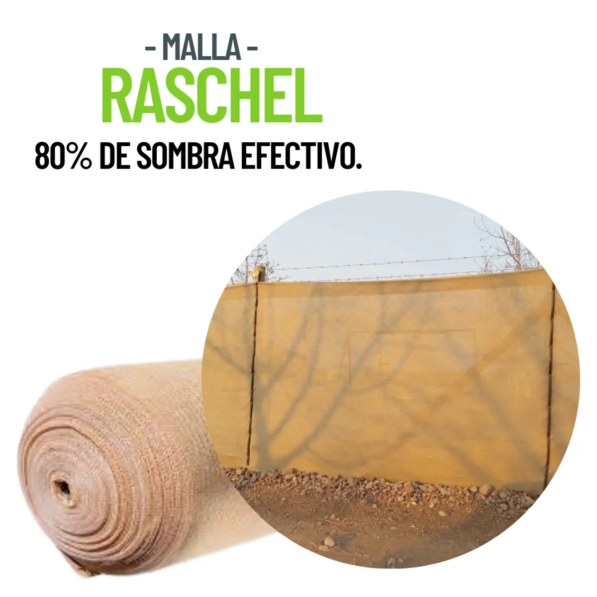 1880 - RASCHEL BEIGE 80% 5 MTS X 4,20 MTS
