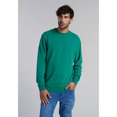 FEROUCH - Poleron Crew Neck Anaheim Verde