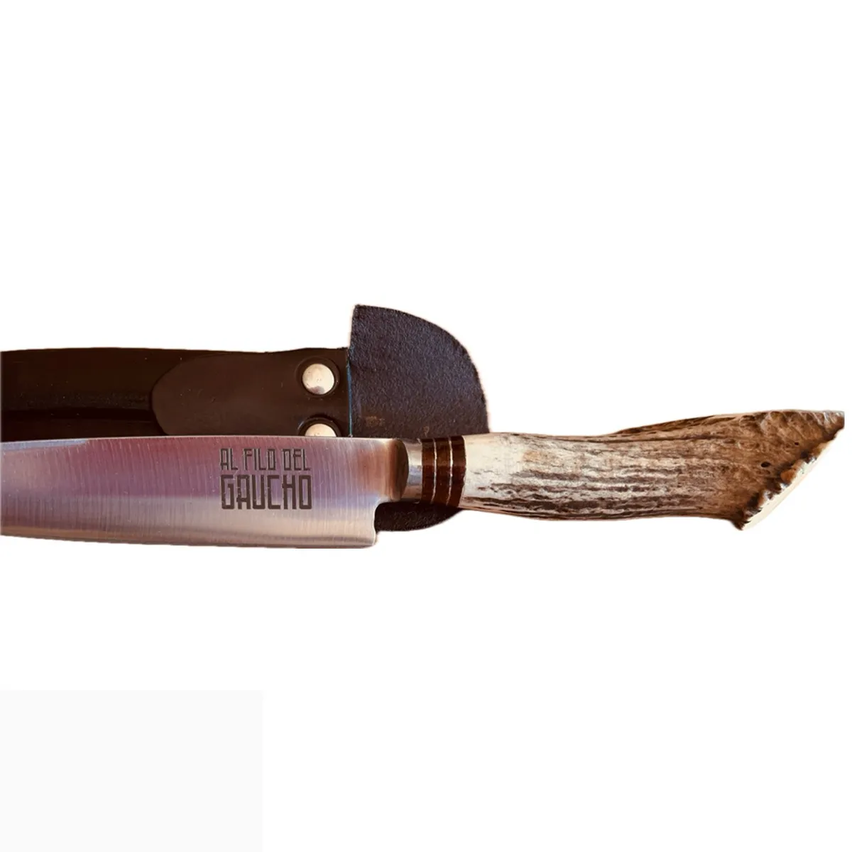 AL FILO DEL GAUCHO - Cabo Ciervo Roseta