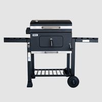 Parrilla a Carbón Con Spiedo