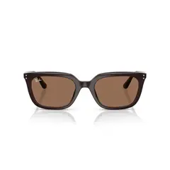 RAY BAN - Ray-Ban Lentes de Sol RB4439D 623173 54
