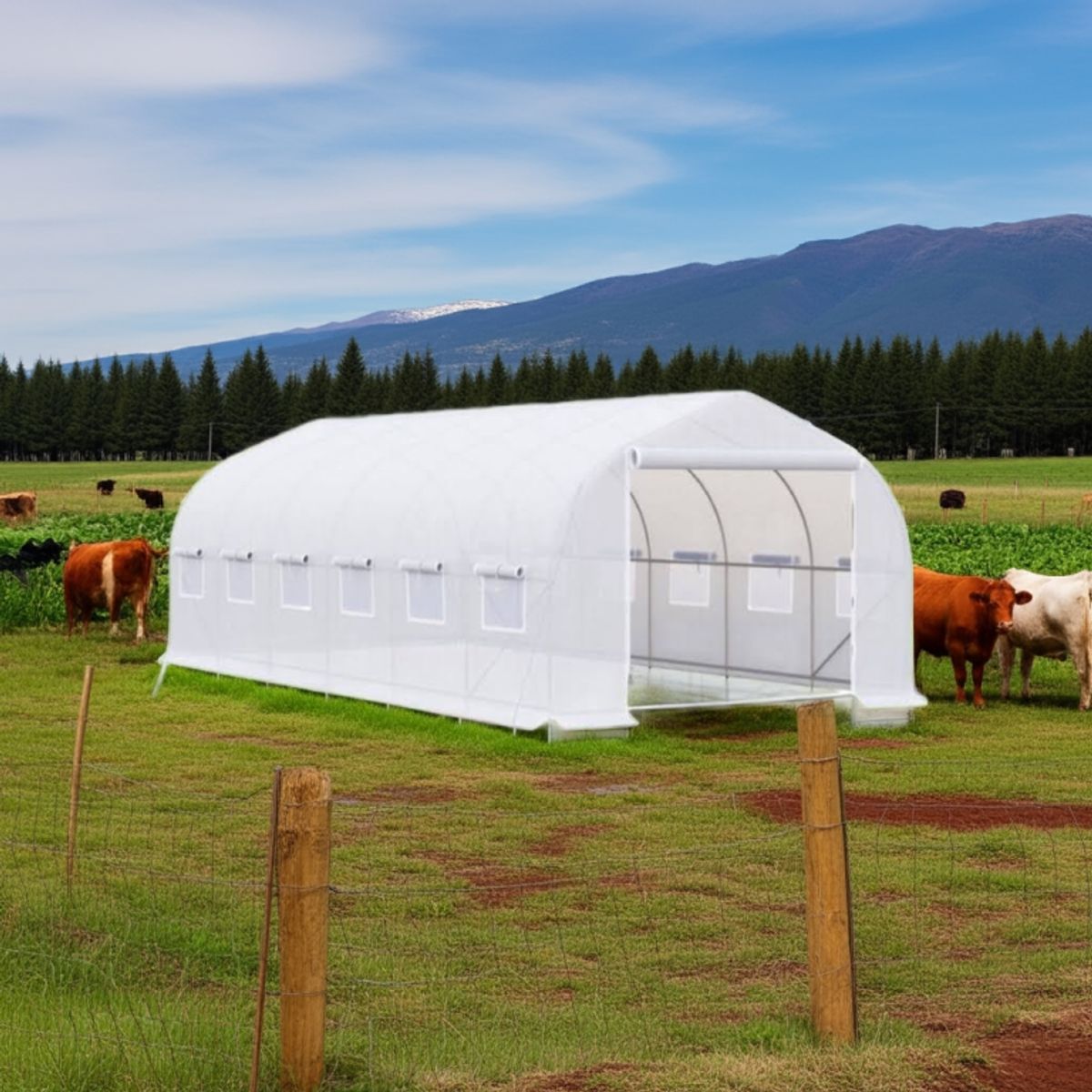 IGPRO - Invernadero Tunel 12 M2 4x3x2m Blanco