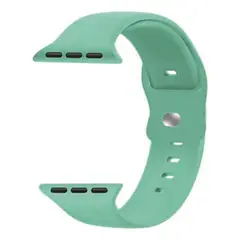 IMPORTCLICK - Correa Apple Watch Silicona Azul Turquesa S/M 38x40x41MM