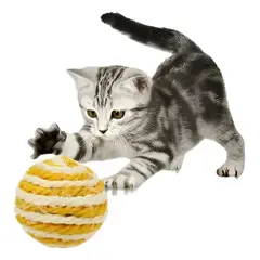 GENERICO - Juguete Para Gato Pelota Tejida Juguete Interactivo Gato