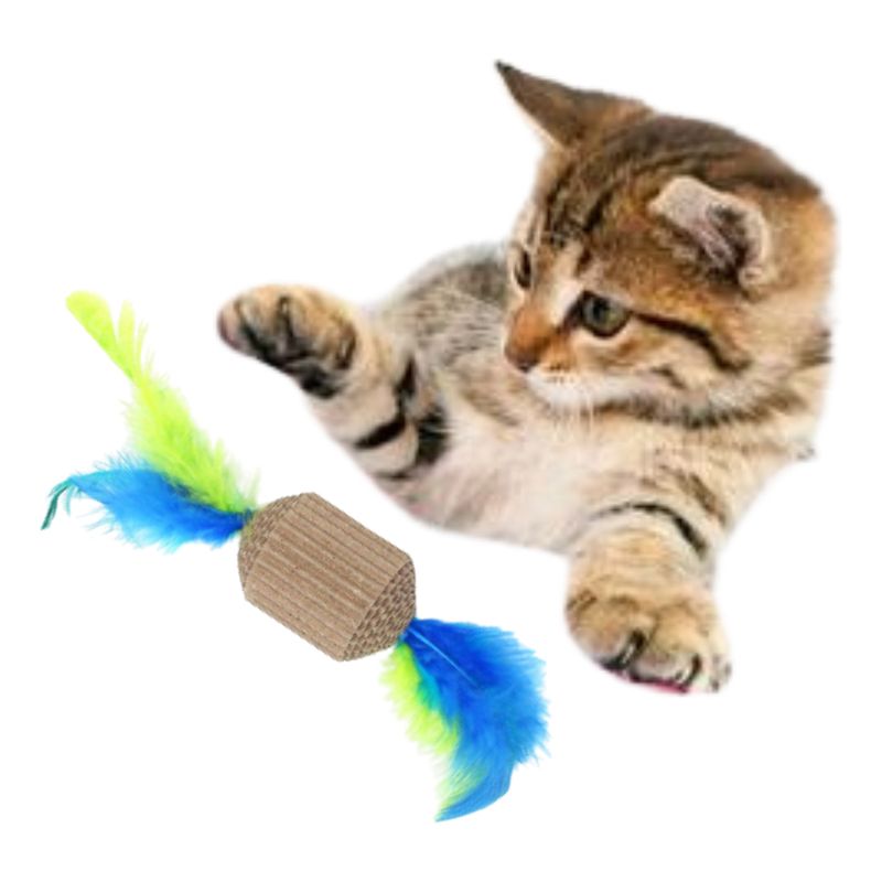 GENERICO - Juego Para Gatos Carton Juguete Interactivo Juego Para Gatos