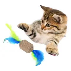 GENERICO - Juego Para Gatos Carton Juguete Interactivo Juego Para Gatos