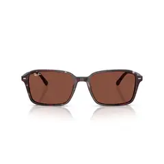 RAY BAN - Ray-Ban Lentes de Sol Raimond RB2231 1416C5 58