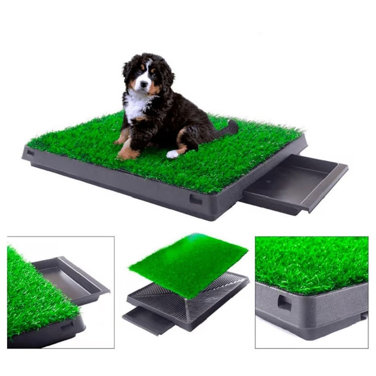 GENERICO - Baño Ecologico 4 Niveles Para Mascotas Perros Y Gatos