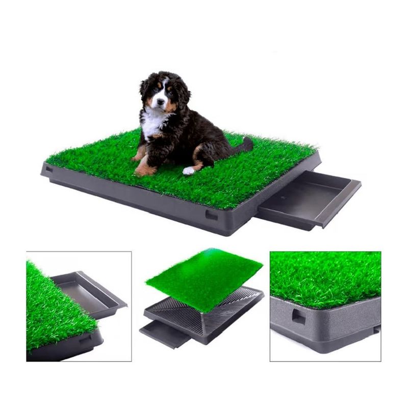 GENERICO - Baño Ecologico 4 Niveles Para Mascotas Perros Y Gatos