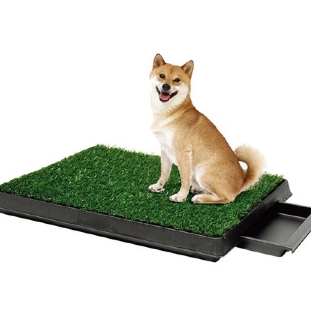 GENERICO - Baño Ecologico 4 Niveles Para Mascotas Perros Y Gatos