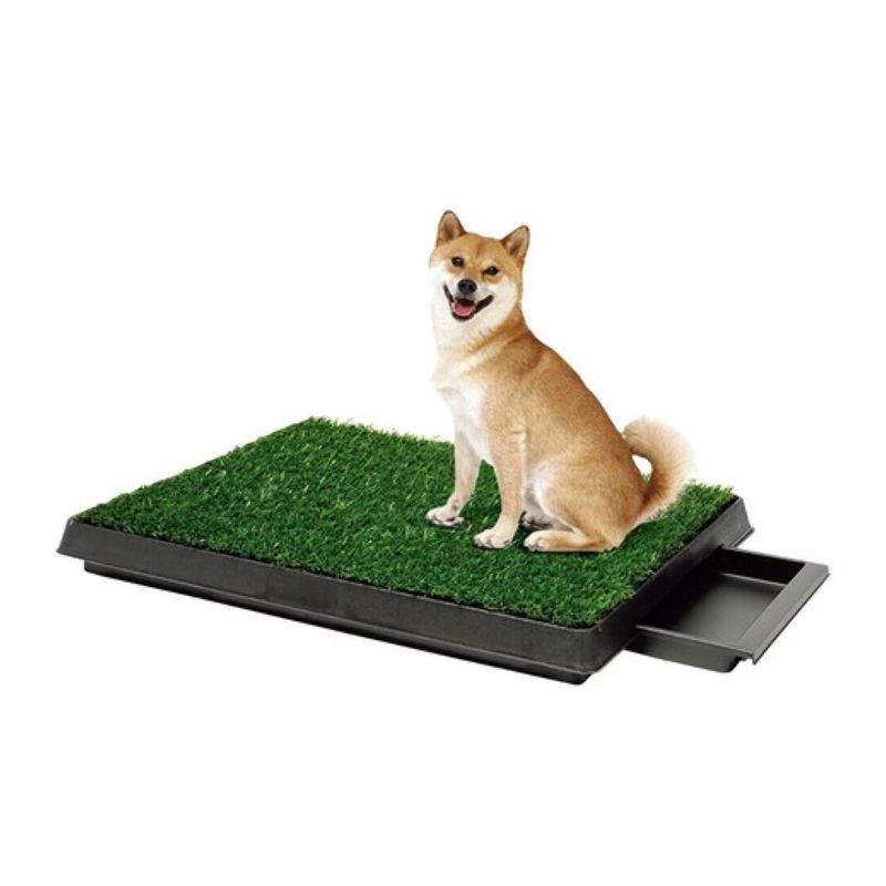 GENERICO - Baño Ecologico 4 Niveles Para Mascotas Perros Y Gatos