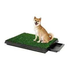 GENERICO - Baño Ecologico 4 Niveles Para Mascotas Perros Y Gatos