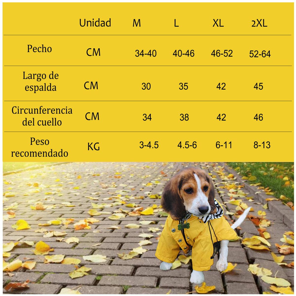 PAGANOOM - Chubasquero para perros con cremallera - L