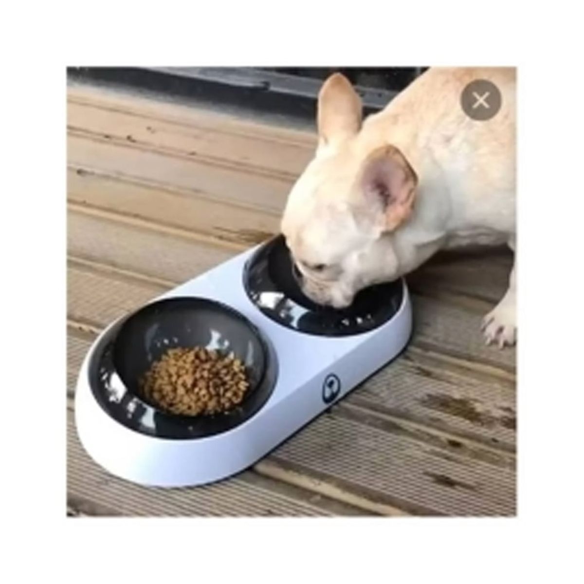 GENERICO - Comedero y bebedero doble para mascotas perros gatos pequeño