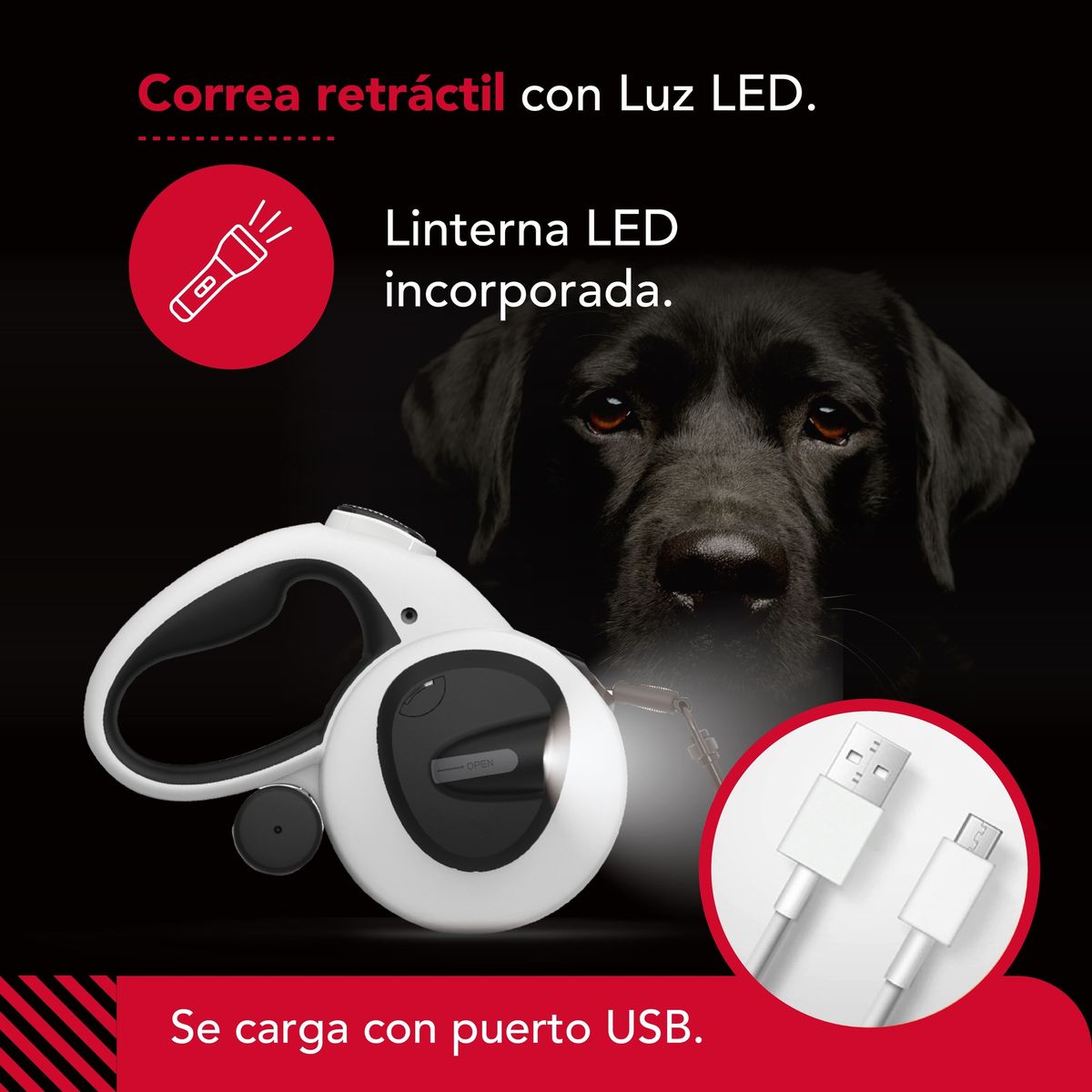THORBEN - Correa Luminosa Thor Usb Light Leash Plus M