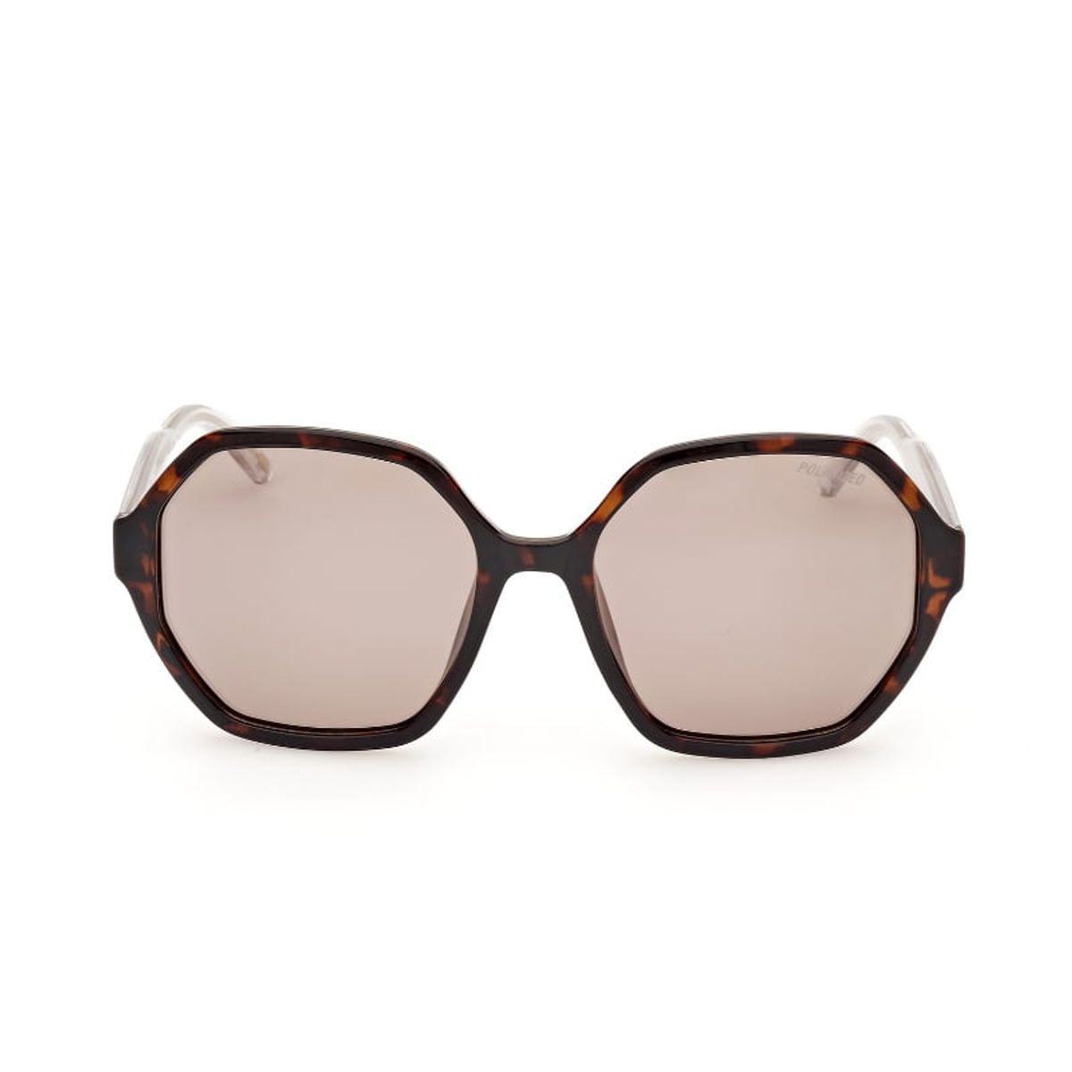 SKECHERS - Lentes de Sol Havana Oscuro Polarizados Skechers