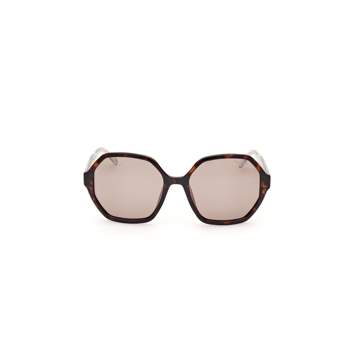 SKECHERS - Lentes de Sol Havana Oscuro Polarizados Skechers