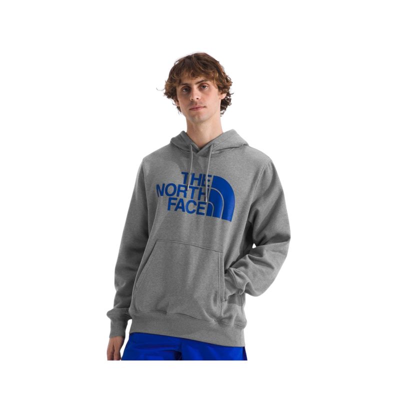 THE NORTH FACE - Polerón Half Dome Pullover Hombre Gris