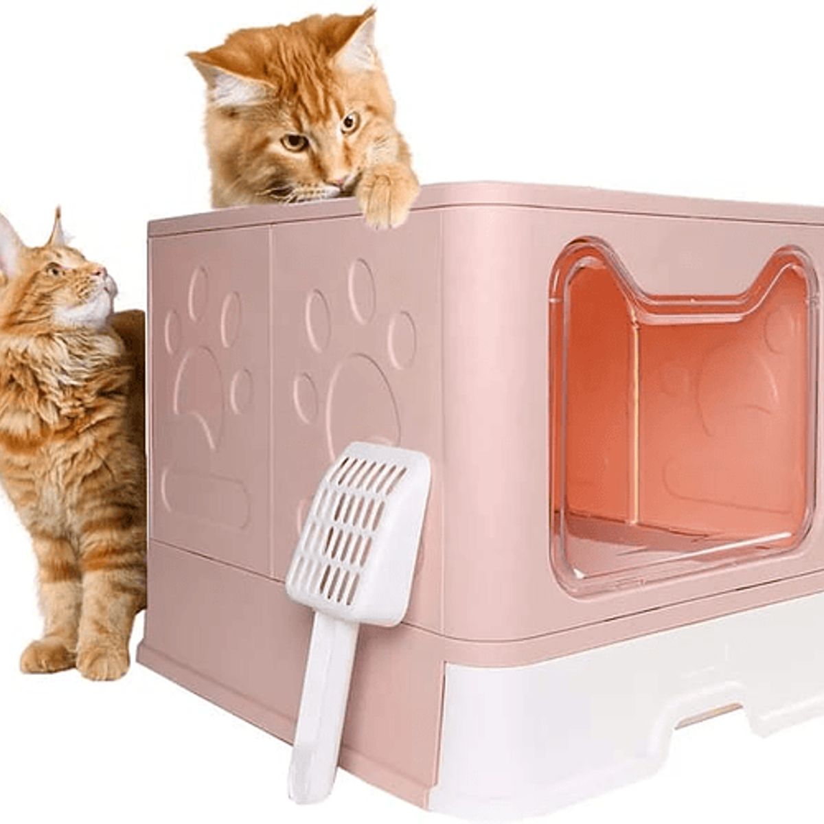 GENERICO - Arenero Cupula Resistente con Filtro Baño Sanitario Rosa