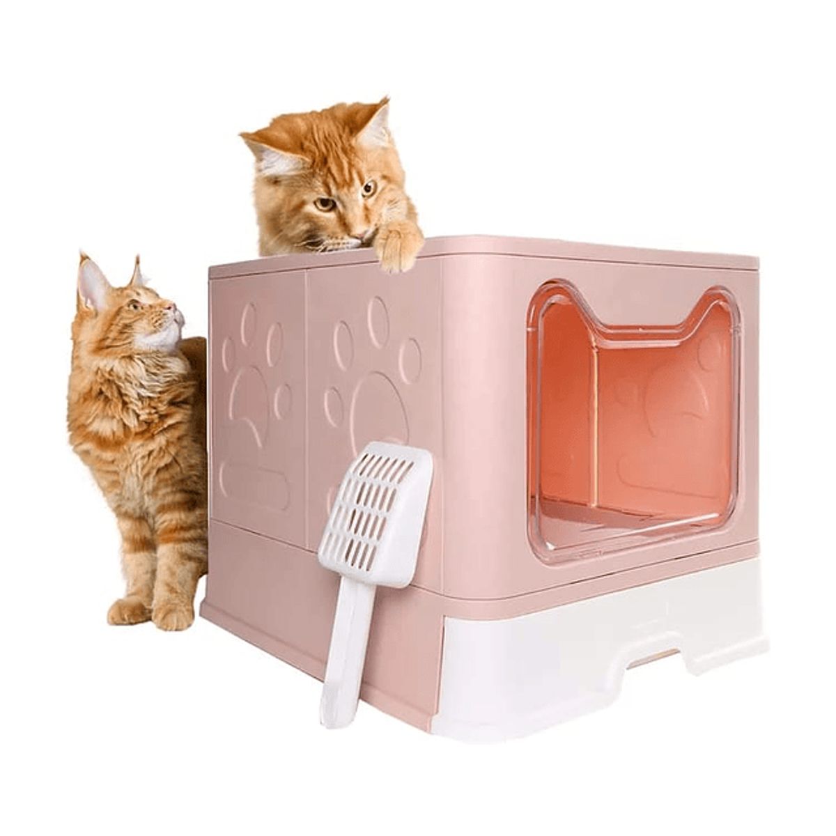 GENERICO - Arenero Cupula Resistente con Filtro Baño Sanitario Rosa