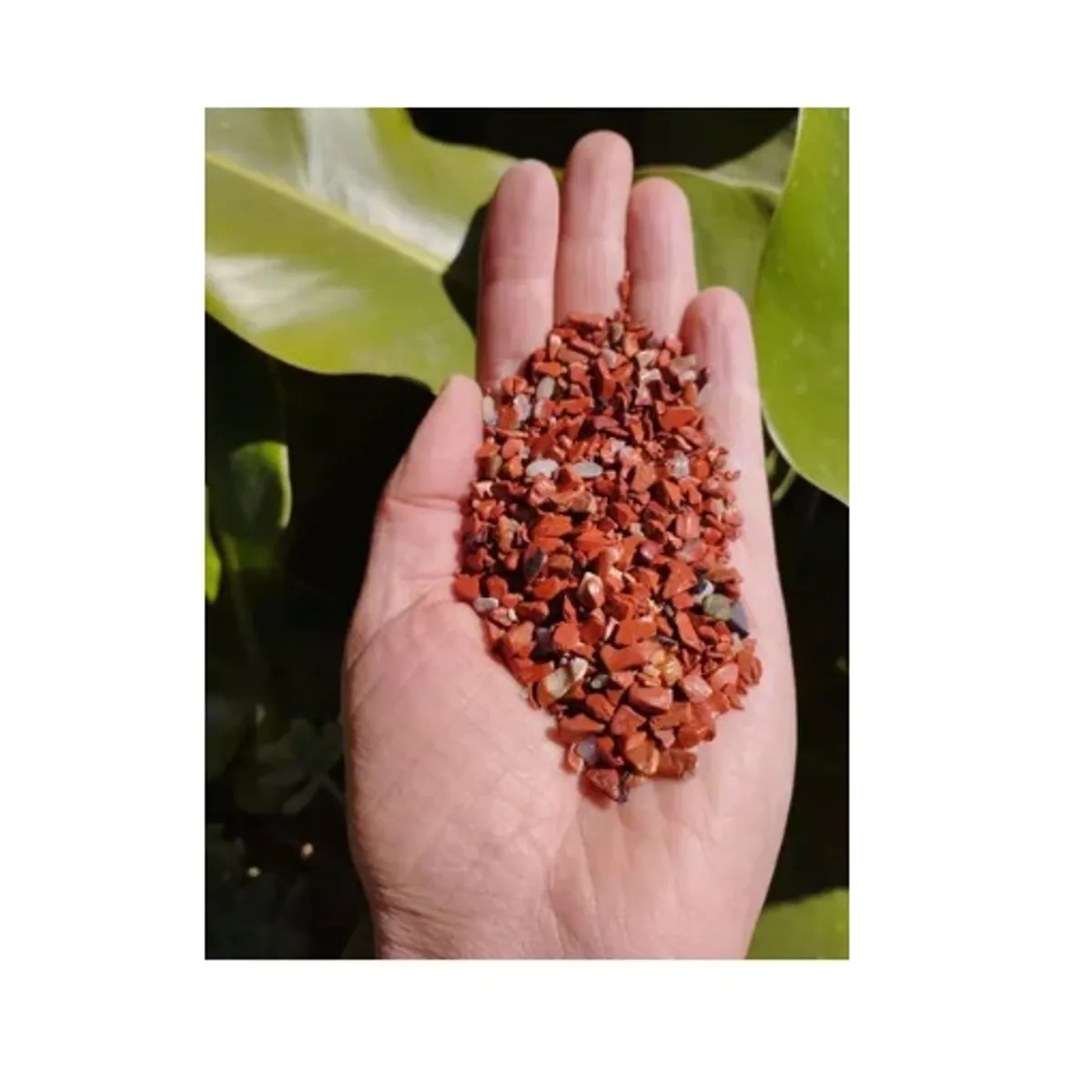 GENERICO - Jaspe Rojo, Piedras Semipreciosas Naturales.  Energética 100gr