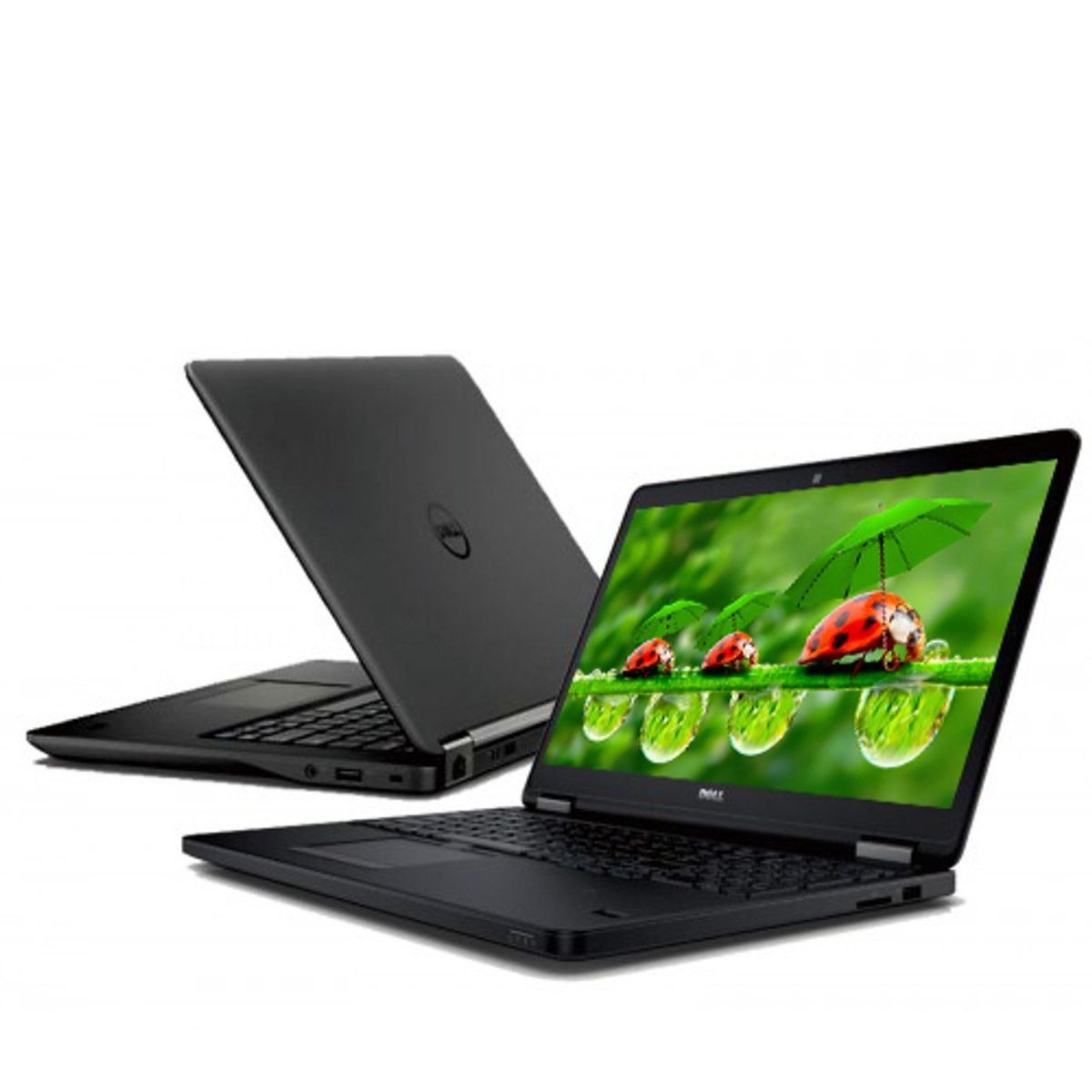 DELL - NOTEBOOK DELL INTEL CORE I5 DISCO SOLIDO SSD