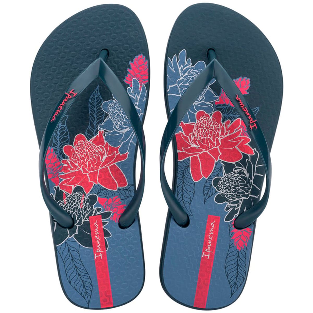 IPANEMA - Sandalia Mujer Azul/Rosa Orla Ipanema