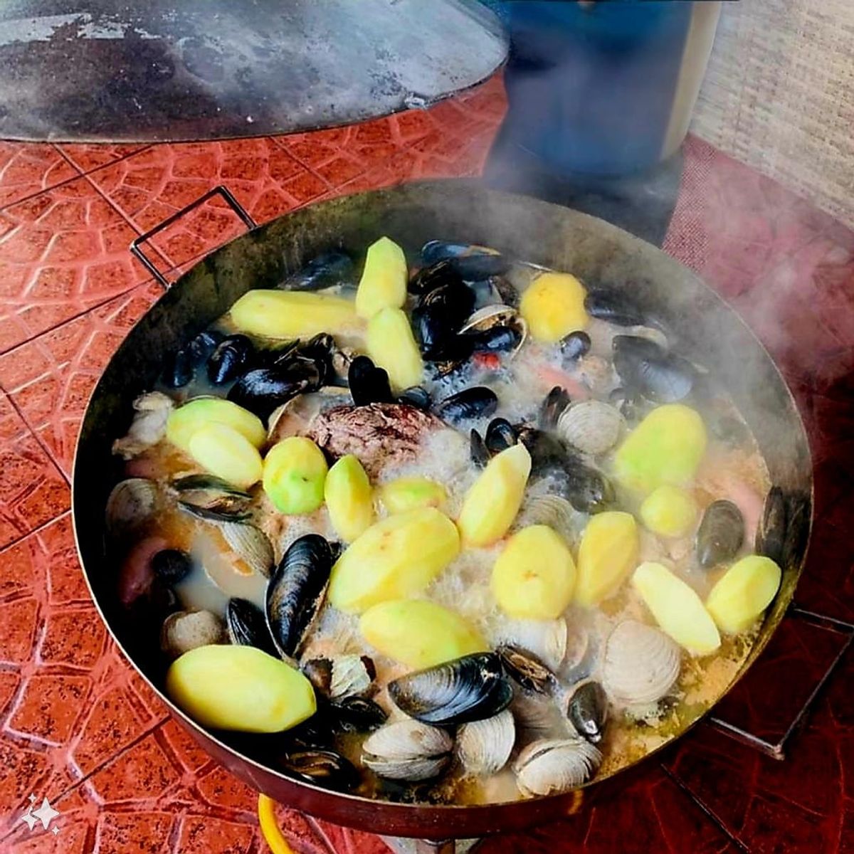 KAS - Disco De Arado Auténtico 45 Cm Con Tapa y Borde Alto