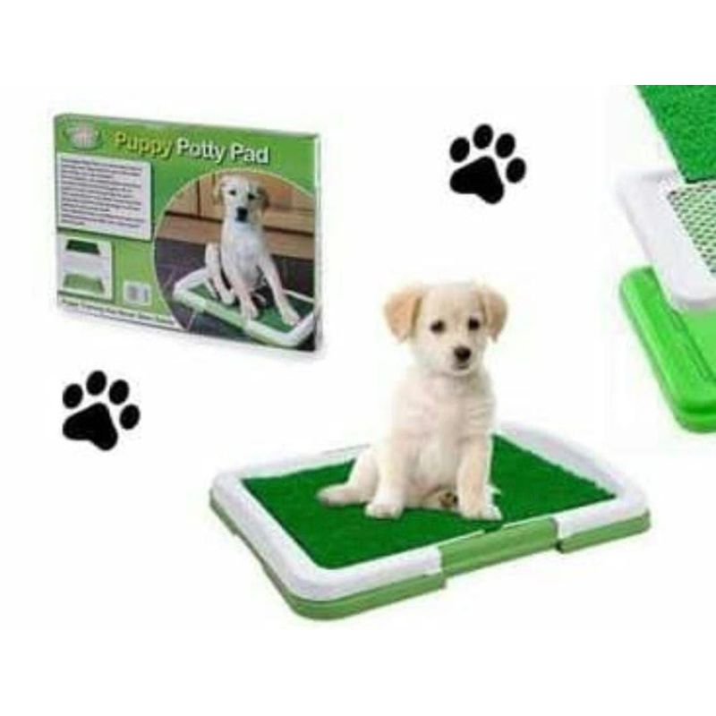 GENERICO - Baño ecológico Para Gatos Baño Bandeja Abierta 47cm x 34cm