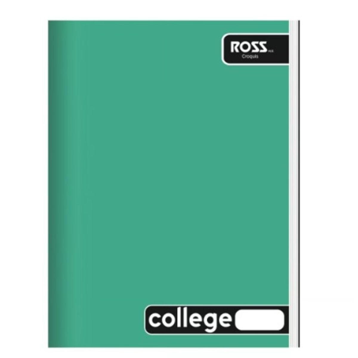 GENERICO - CUADERNO COLLEGUE DISEÑO LISO CROQUIS 80 HOJAS - 10 UNID