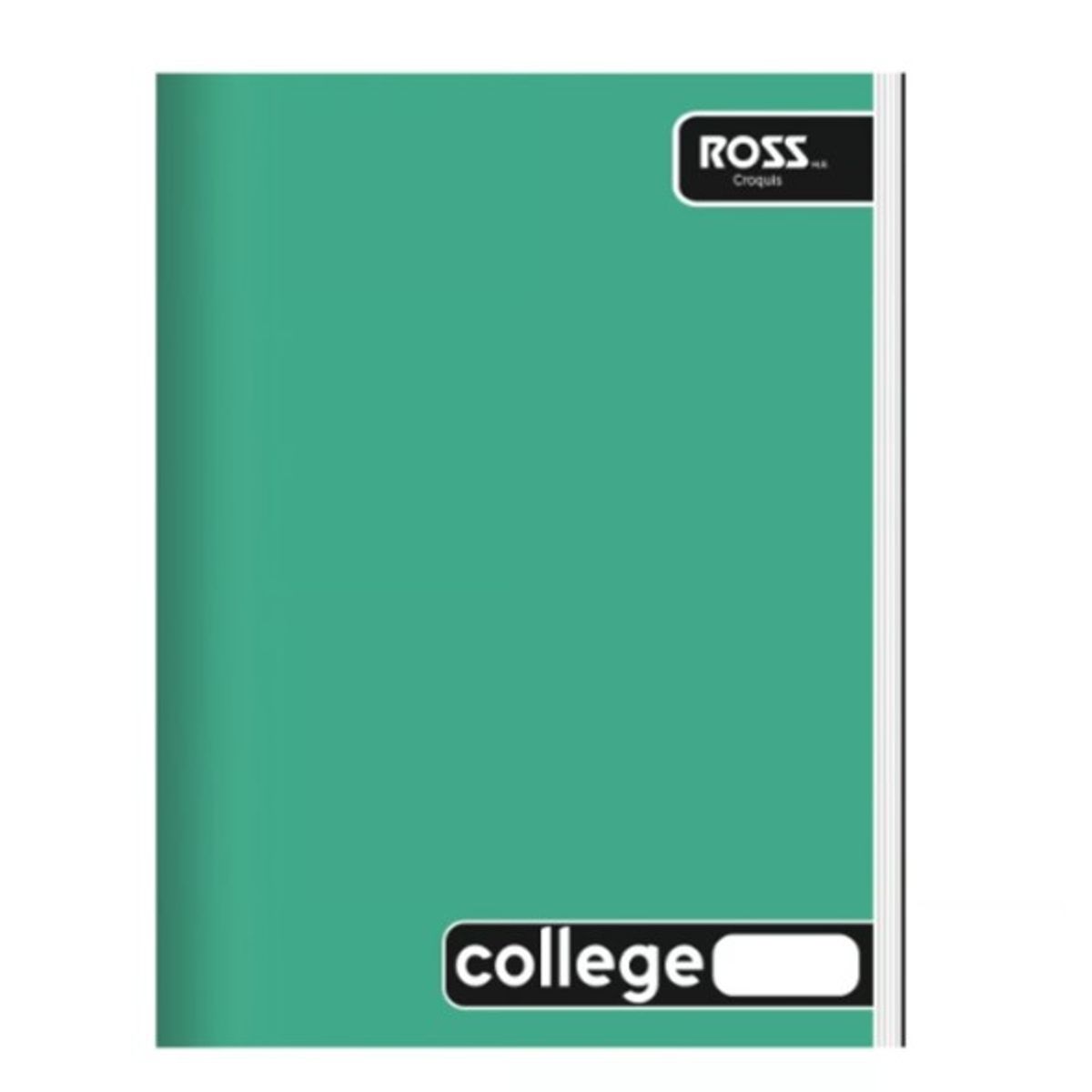 GENERICO - CUADERNO COLLEGUE DISEÑO LISO CROQUIS 80 HOJAS - 10 UNID