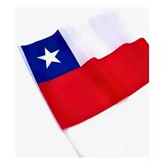 GENERICO - 12 Banderas Chile 60x40cm Con Mastil 70cm Fiestas Patrias