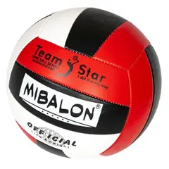 GENERICO - Pelota Mibalón de Volleyball Varios Colores - Nro 5 Balon