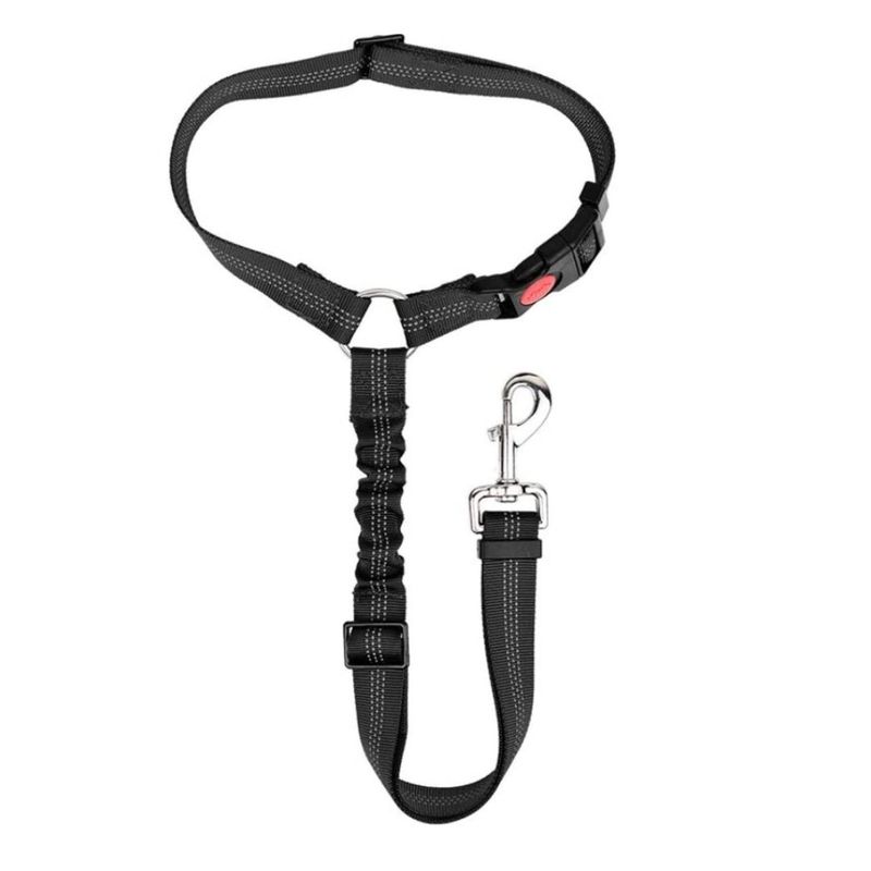 PRO OUTDOOR - Correa Leash Para Mascotas Pro Outdoor