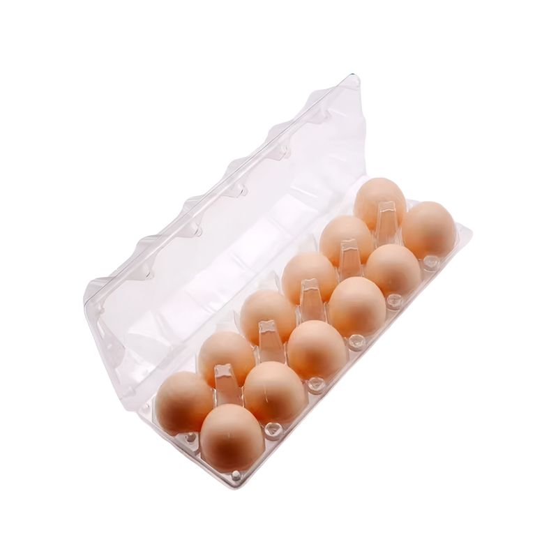 GENERICO - Pack 100 Cajas Bandeja 12 Huevos Gallina Plástica Huevera