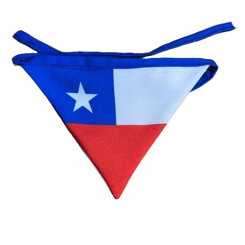 GENERICO - Bandana Fiestas Patrias para Perros Bandera XL