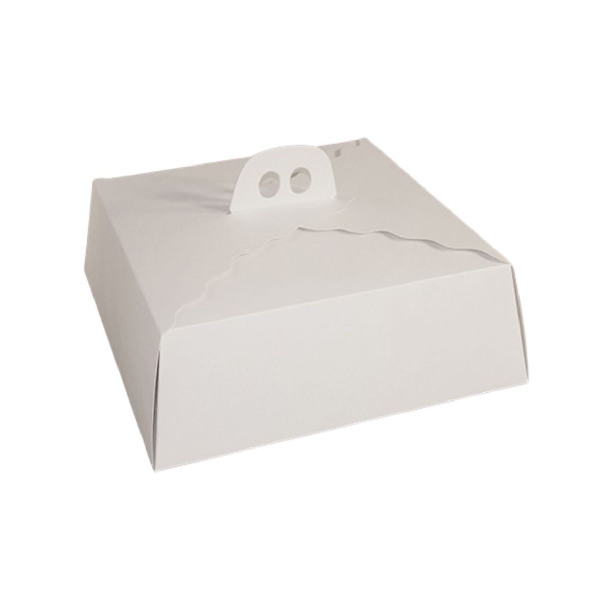 GENERICO - Pack 5 Caja Torta Cuadrada 38x14 cm