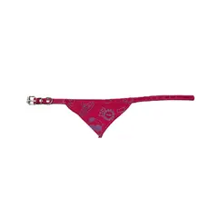 GENERICO - Collar para Gatos con Pañuelo Elegante