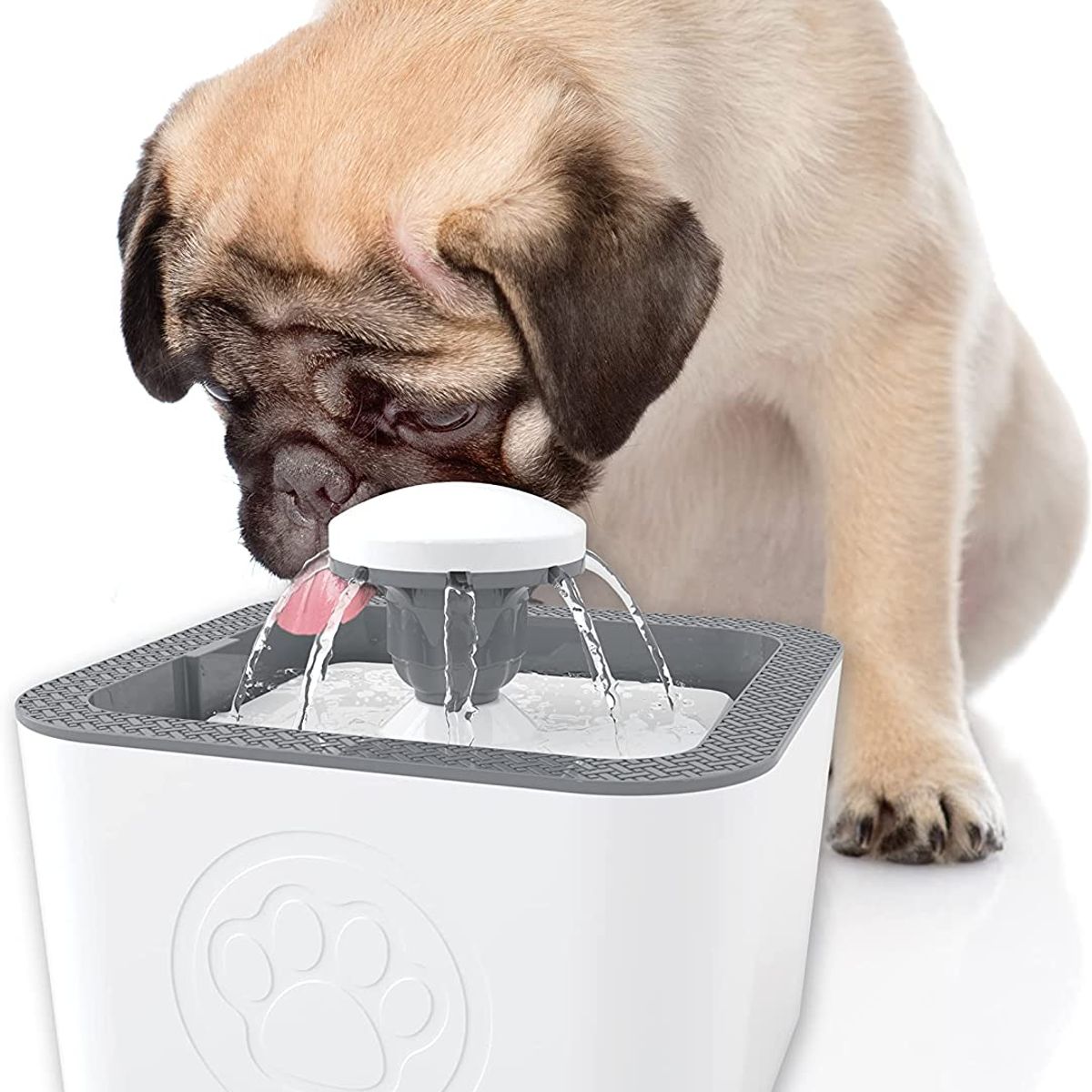 Pet In Care - Fuente de Agua para Mascotas Con Filtros 2.5 Litros con USB