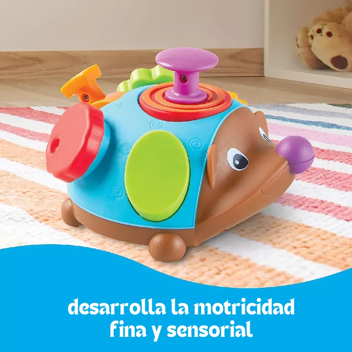 GENERICO - Erizo De Juguete Motricidad Fina Sensorial Didáctico 6 en 1