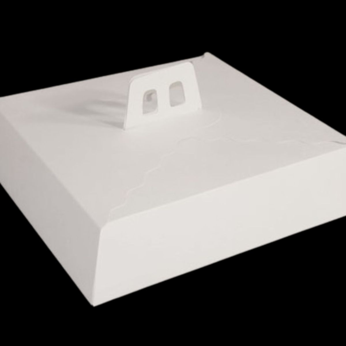 GENERICO - Pack 5 Caja Kuchen / Tartaleta 30x6,5cm