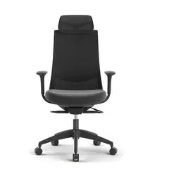 GENERICO - Silla NESS con cabecero y soporte lumbar